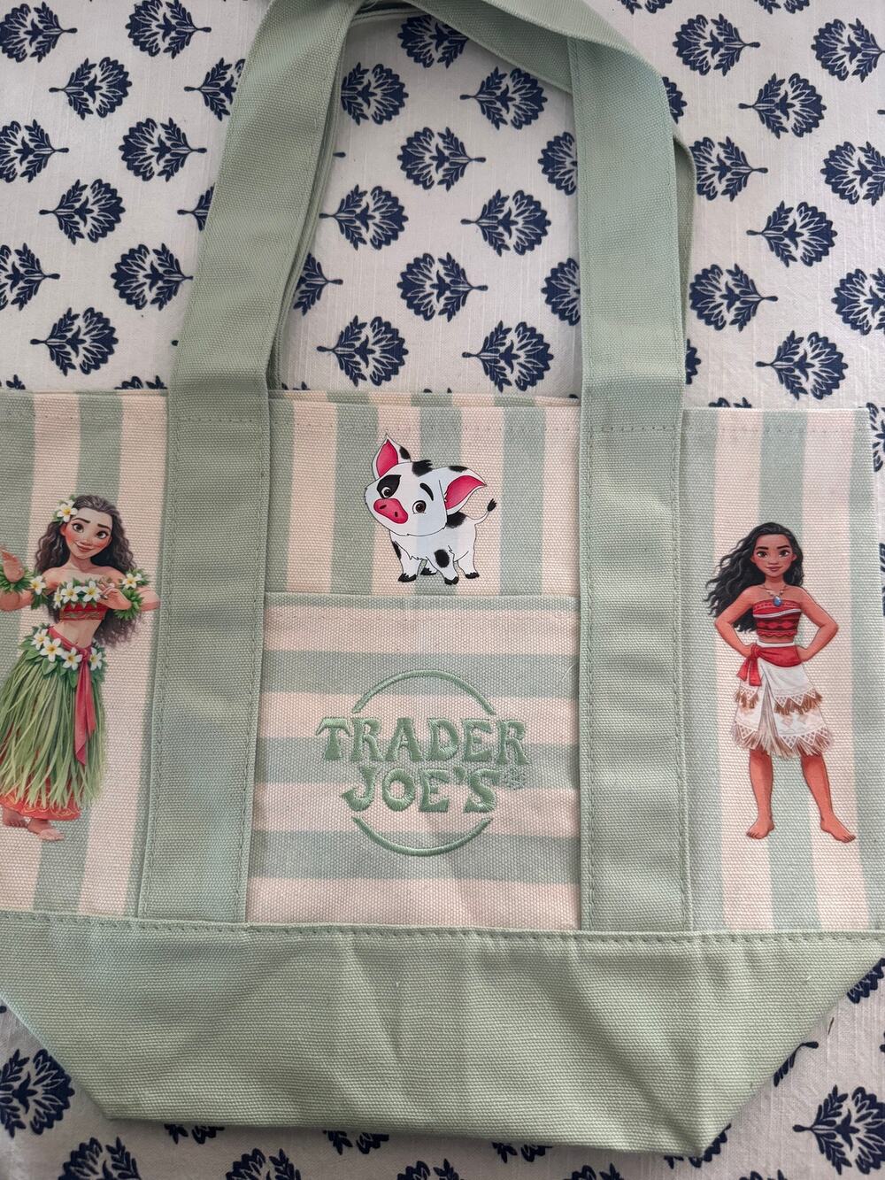 Disney Moana and Pua Striped Custom Made Trader Joes Mini Tote